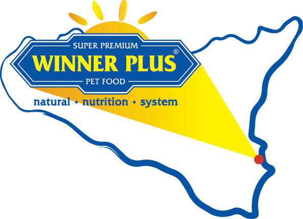 Winner Plus Sicilia